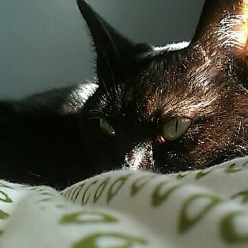 Meet your Posher, Jeani